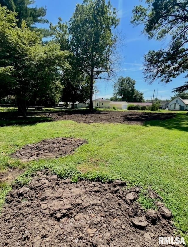 412 W 1st St, Taylorville, IL 62568 - photo 8