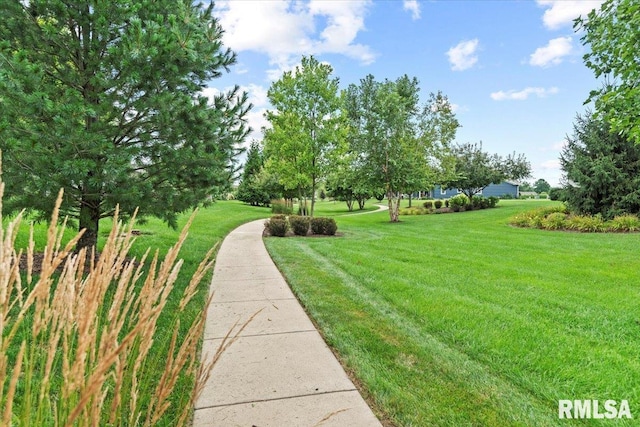 3956 Waterstone Way, Springfield, IL 62711 - photo 36
