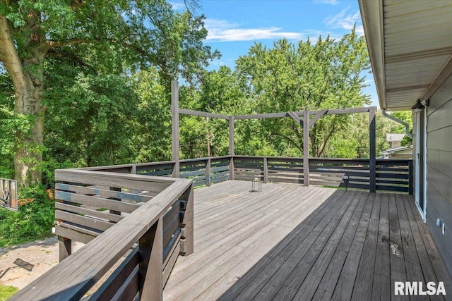 39 Bonniebrook Rd, Chatham, IL 62629 - photo 43