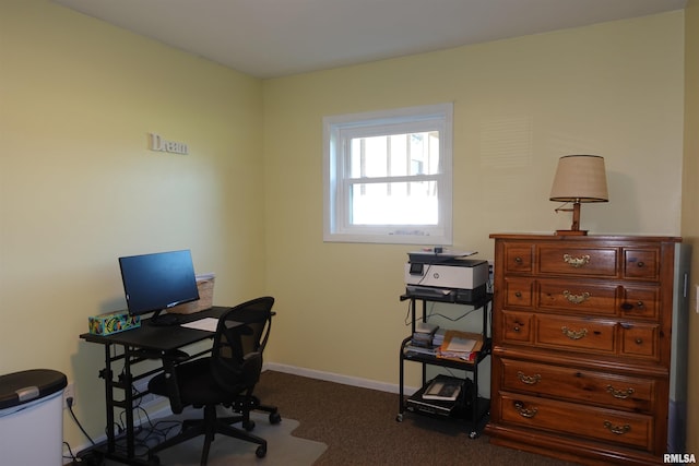532 Kings Canyon Blvd, Galesburg, IL 61401 - photo 43