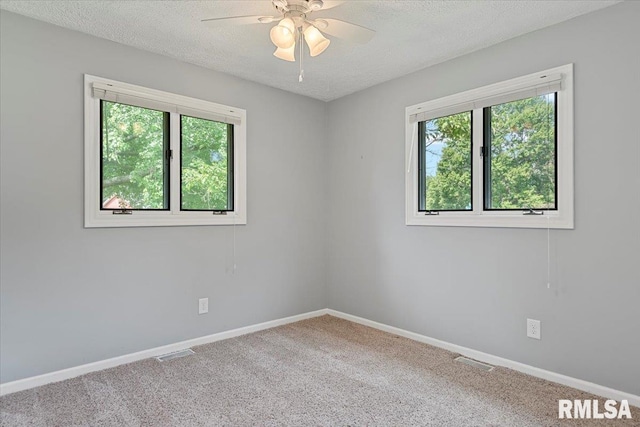 33 Sarah Ave, Springfield, IL 62703 - photo 27