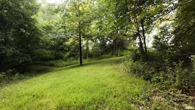 6188 E Howard Rd, Smithfield, IL 61477 - photo 2