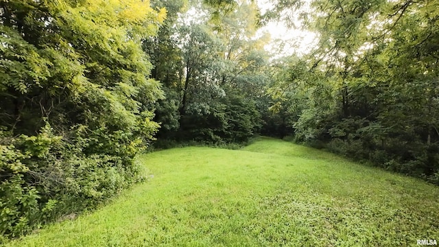 6188 E Howard Rd, Smithfield, IL 61477 - photo 22