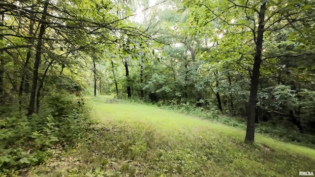 6188 E Howard Rd, Smithfield, IL 61477 - photo 23