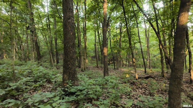 6188 E Howard Rd, Smithfield, IL 61477 - photo 24