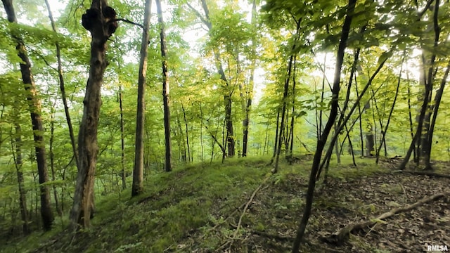 6188 E Howard Rd, Smithfield, IL 61477 - photo 25