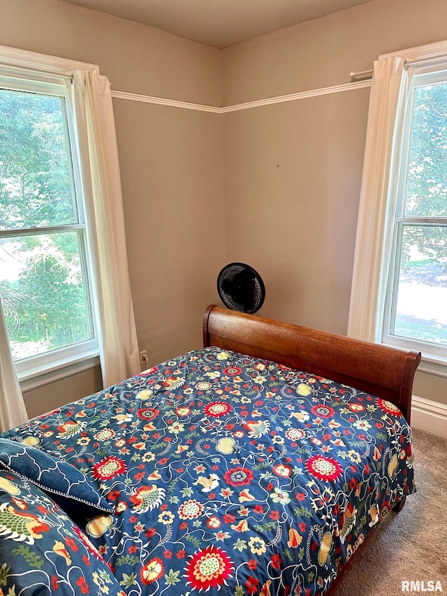 1341 W Lafayette Ave, Jacksonville, IL 62650 - photo 29
