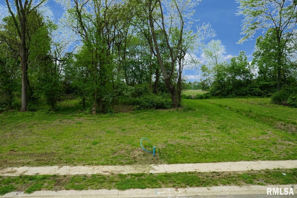 609 Rock River Rd, Springfield, IL 62711 - photo 1