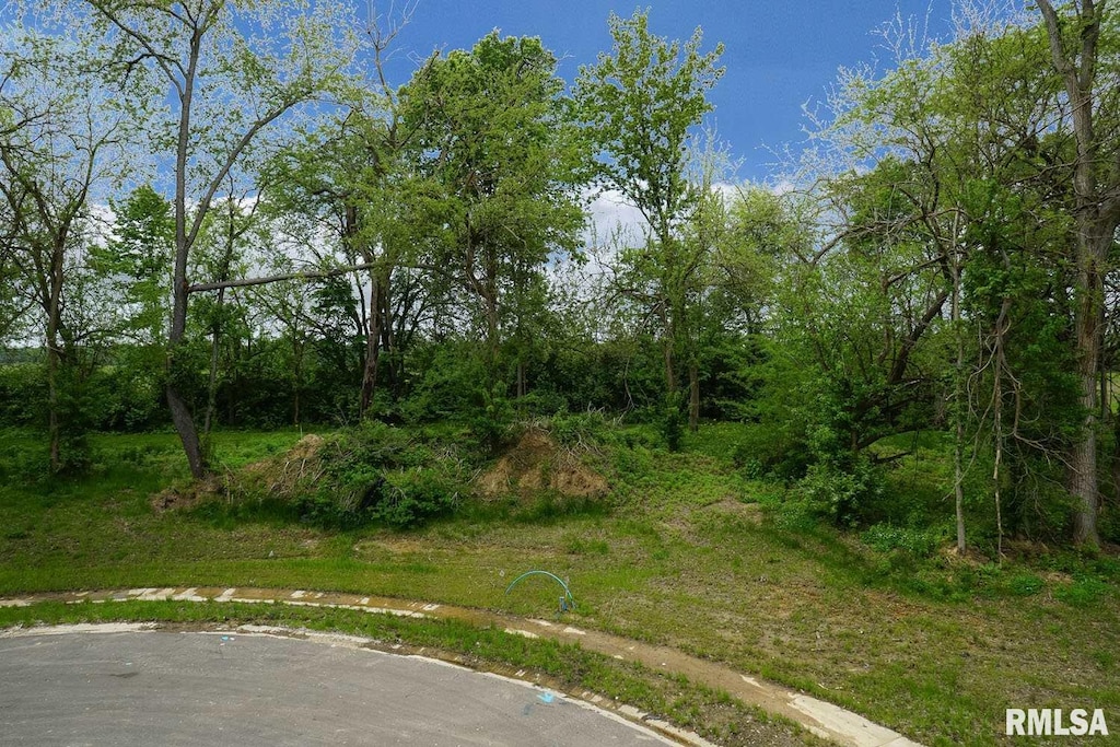 613 Rock River Rd, Springfield, IL 62711 - photo 1