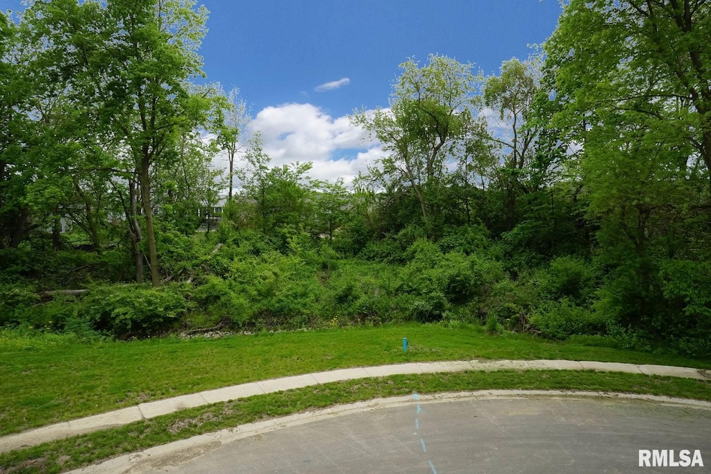 612 Rock River Rd, Springfield, IL 62711 - photo 1