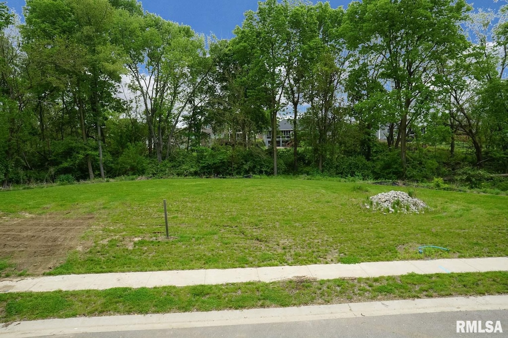 608 Rock River Rd, Springfield, IL 62711 - photo 1