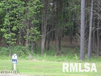 LOT358 Parrish Ridge Ln, Goreville IL, 62939 land for sale