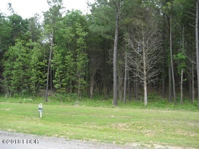 Listing photo 3 for LOT358 Parrish Ridge Ln, Goreville IL 62939