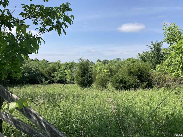 0000 Parrish Ridge Ln, Goreville, IL 62939 - photo 5