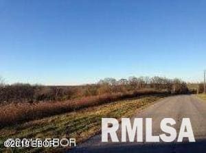 0000 Parrish Ridge Ln, Goreville, IL 62939 - photo 10
