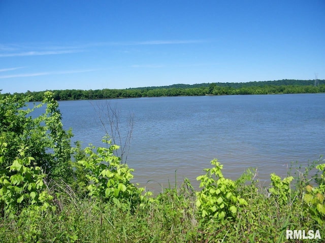 view of property view of water