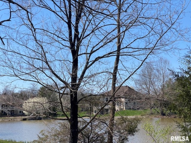 LOT56 Deer Lake Dr, Carbondale, IL 62901 - photo 4