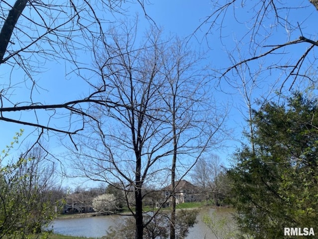 LOT56 Deer Lake Dr, Carbondale, IL 62901 - photo 5