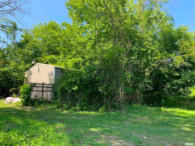 view of yard with a storage unit