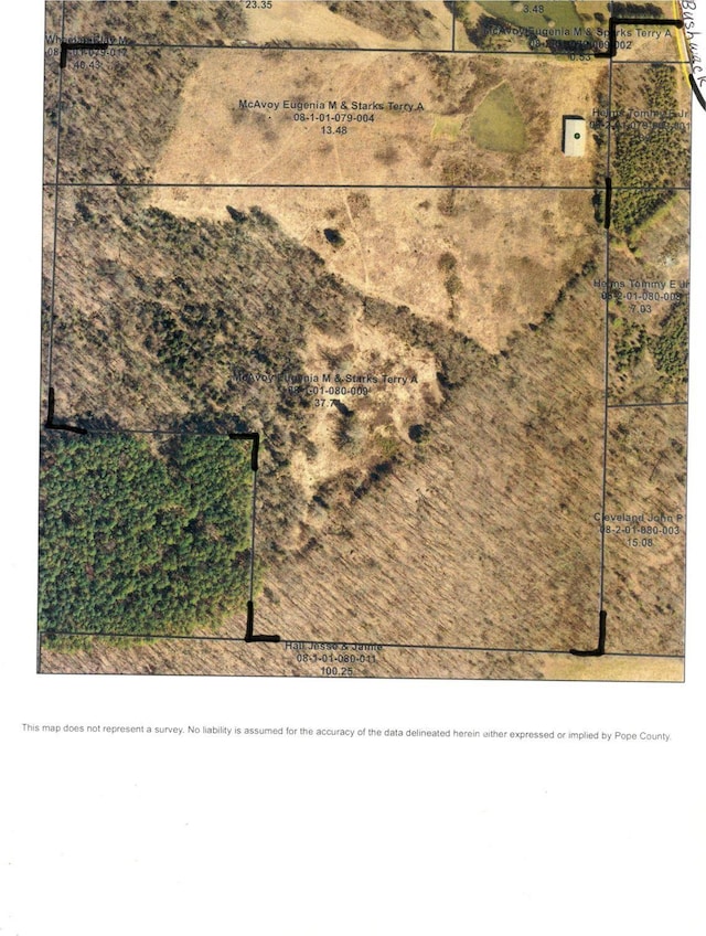 39 Bushwack Rd, Golconda, IL 62938