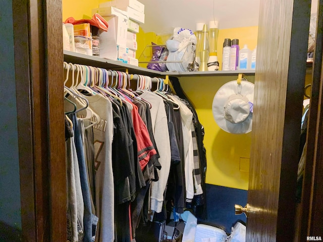 view of walk in closet