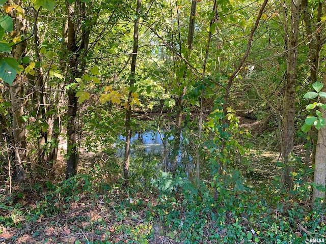 view of mother earth's splendor featuring a water view