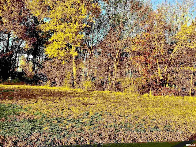 000 Pershing St, Energy IL, 62933 land for sale