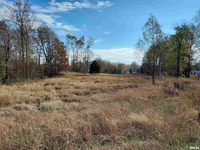 view of local wilderness