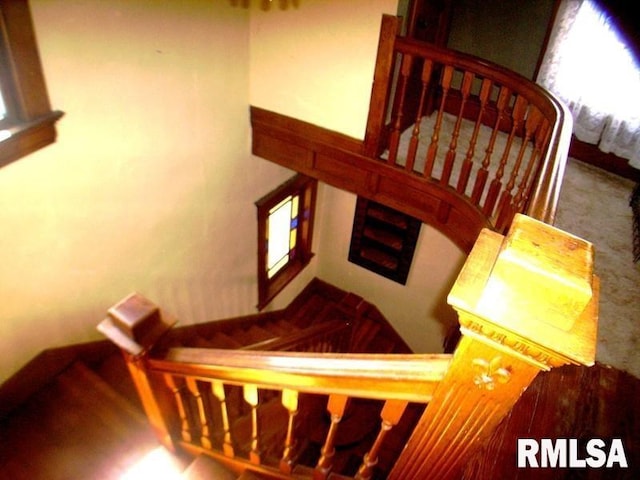 staircase with carpet floors