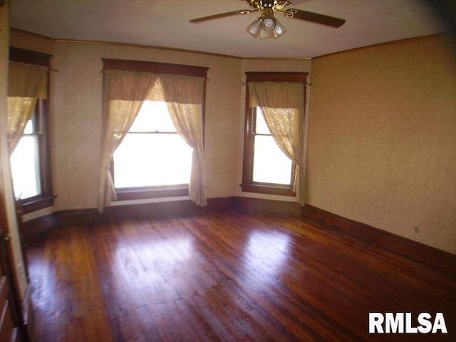 empty room with a wealth of natural light, ceiling fan, and dark hardwood / wood-style flooring