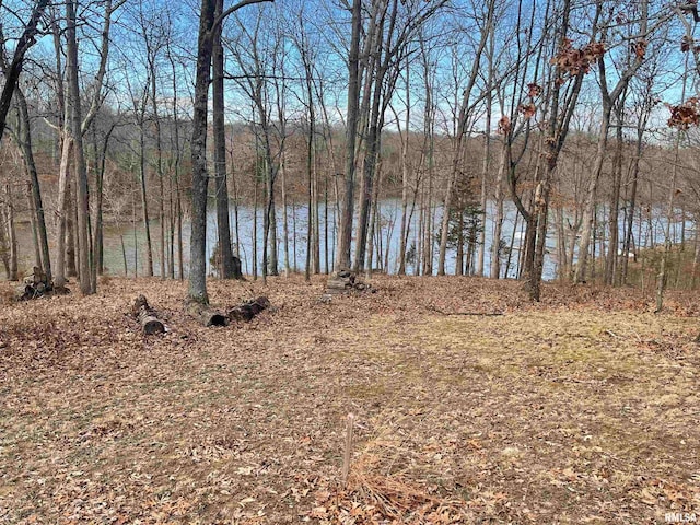 LOT76 Saluki Way, Goreville IL, 62939 land for sale