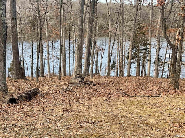 Listing photo 2 for LOT76 Saluki Way, Goreville IL 62939