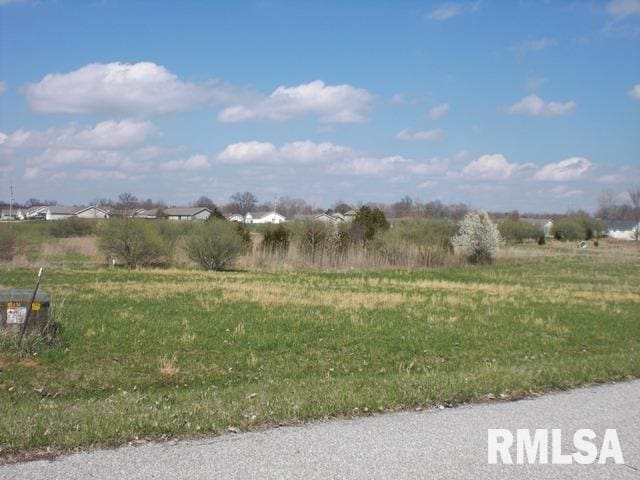 Listing photo 2 for 5651 Arctic Fox Dr, Carterville IL 62918