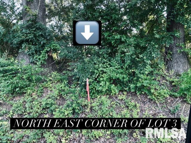 LOT3 Falcon Rd, Carbondale, IL 62901 - photo 3