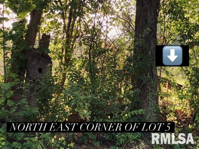 LOT5 Falcon Rd, Carbondale, IL 62901