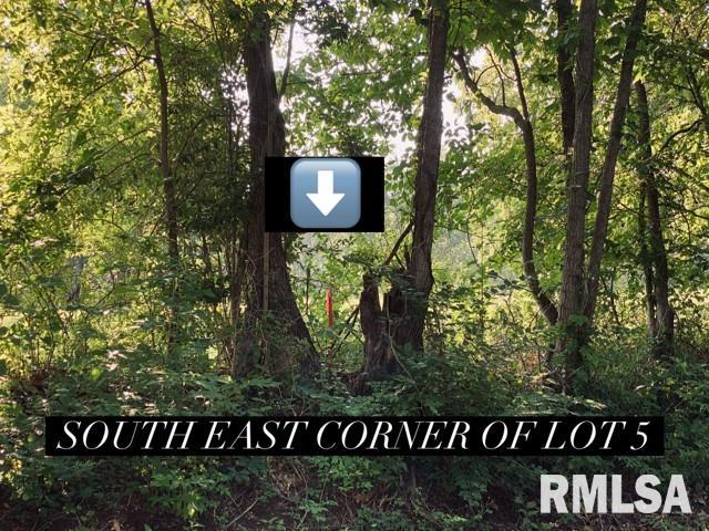 LOT5 Falcon Rd, Carbondale, IL 62901