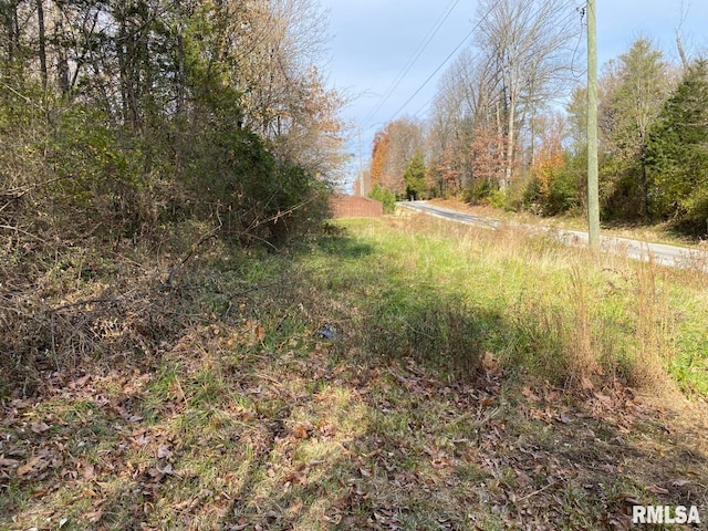 00 Wood Rd, Murphysboro IL, 62966 land for sale