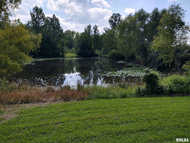 property view of water