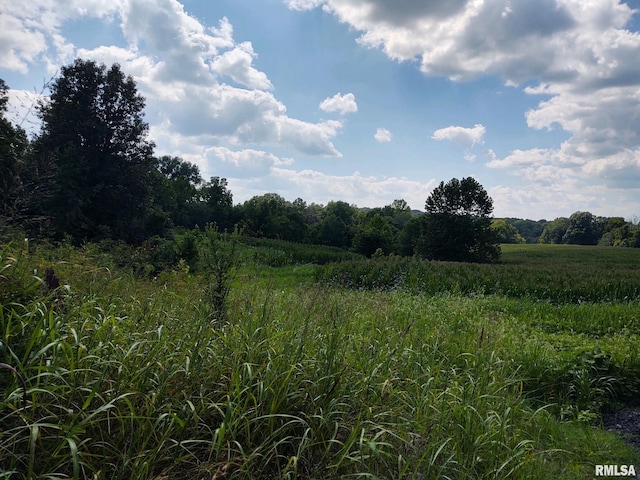 view of nature featuring a rural view