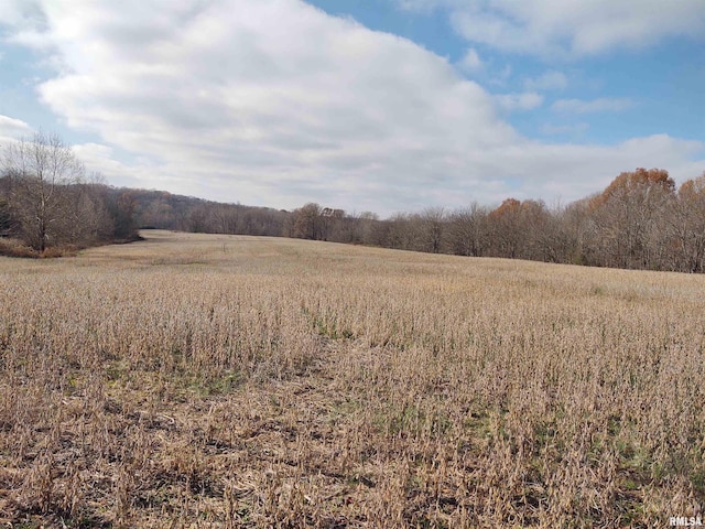 view of local wilderness featuring a rural view