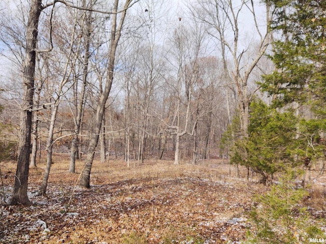 view of local wilderness