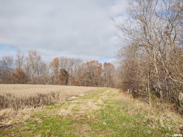 view of landscape