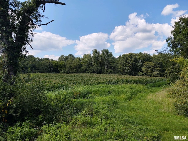 view of local wilderness