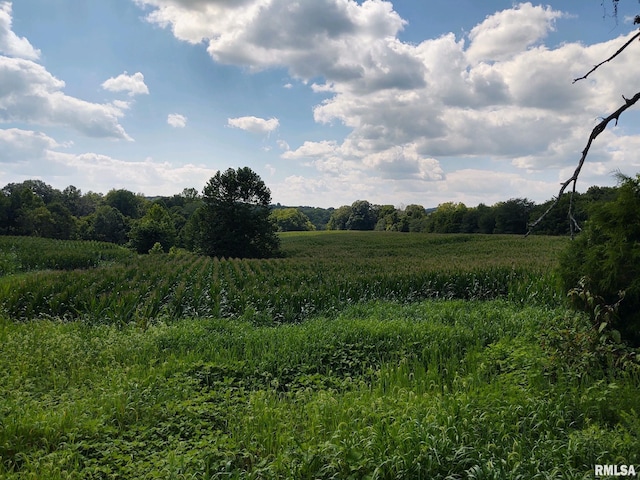 view of local wilderness with a rural view