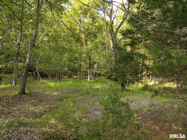 view of landscape