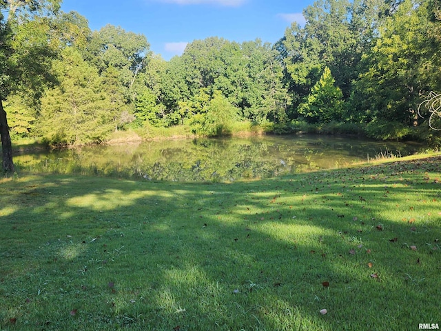 view of landscape featuring a water view