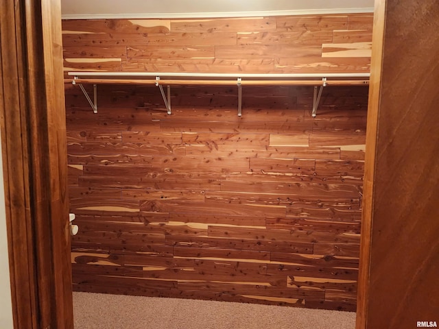 view of closet