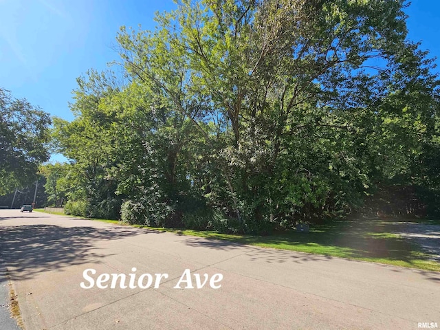 TBD Senior Ave, Vienna IL, 62995 land for sale