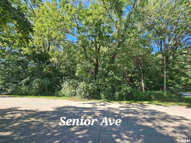 Listing photo 2 for TBD Senior Ave, Vienna IL 62995