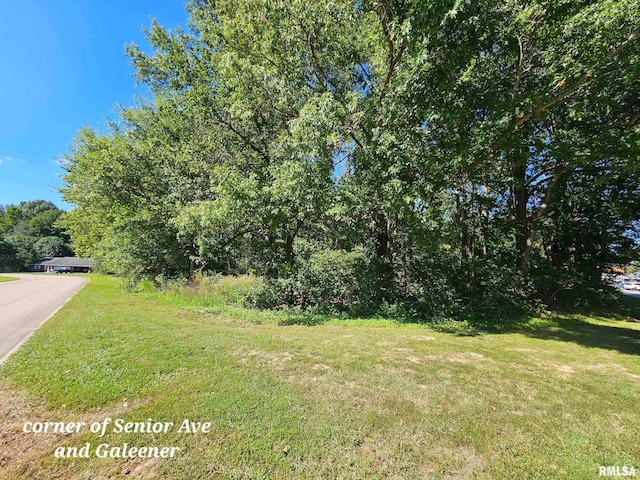 Listing photo 2 for TBD Galeener St, Vienna IL 62995